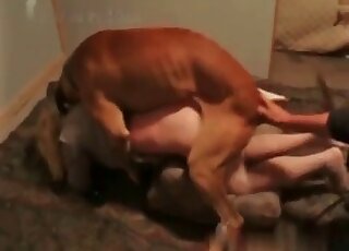 Aged wife is eager to get her wet cunt banged by her canine