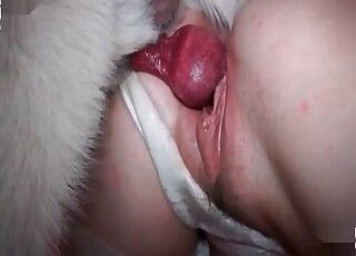 Closeup zoo porn video of a naughty vixen enjoying sex with canine