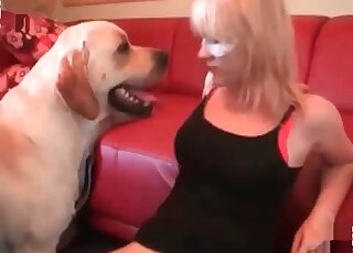 Blonde MILF gets cunt licked and fucked by a huge dog in a missionary