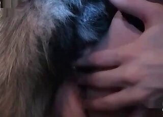 MILF in black stockings spreads legs to get fucked by a horny dog