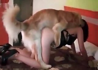 Curvy chick takes off her thong to fuck with her dog in the bedroom