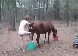 Crazy guy licks and fucks a big horse and cums on its ass