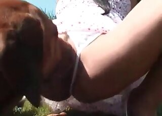 Luscious chick toys her pussy outdoors and gets it sucked by her dog