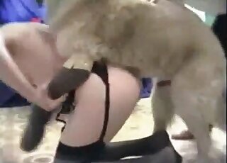 Naughty slut makes her dog fuck that squelching pussy of hers