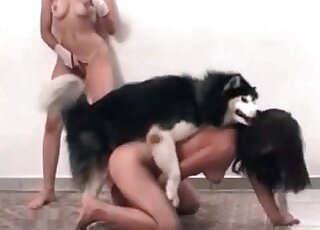 Husky licks brunette's wet pussy and fucks her with pleasure