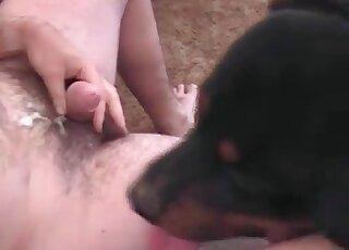 Zoophile guy lets a horny canine fuck his anal in a zoo porn video