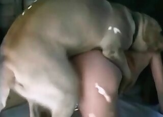 MILF stands in a doggystyle and gets cunt destroyed by her dog