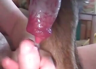 Guy teases cock of his canine and then fucks his ass increedibly hard