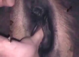 Awesome zoophile dude fingers animal’s hole in a wild zoo porn scene