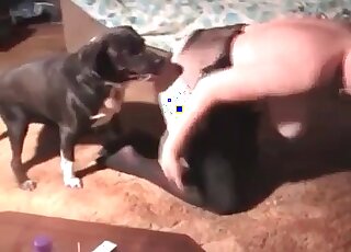 Mature vixen in black stockings is always ready for a fuck with her dog