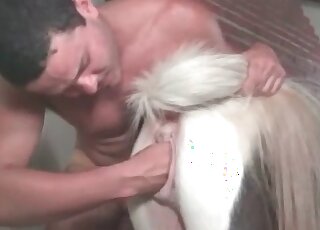 Dude fists a horse deep and then fucks it as hard as he can
