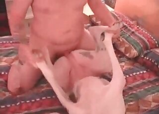 Fat guy involves his dog into a hardcore bestiality sex action
