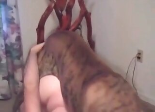 Cão treinado fode o cu de um cara pervertido em estilo cachorrinho