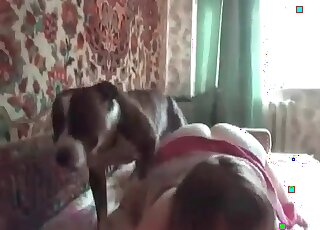 Dog rams anal of a big-assed mature bitch and drills it fast