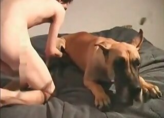 Crazy guy calms his dog before crushing its hole with his dong