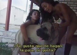 Sexy Latina MILFs give an awesome ride to a dog in a zoo porn scene