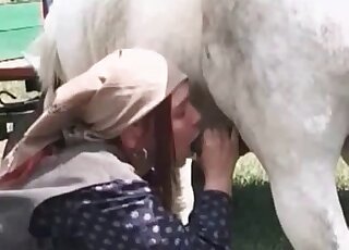 White horse's thick shaft gets sucked by a naughty babe outdoors