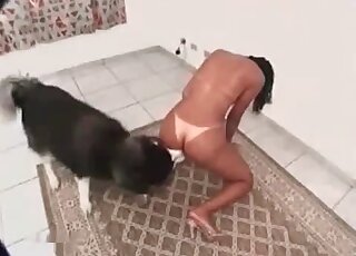 Suntanned slender chick wants her husky to bang her pussy