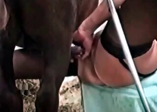 Whore spreads her legs widely in order to get nailed by a horse