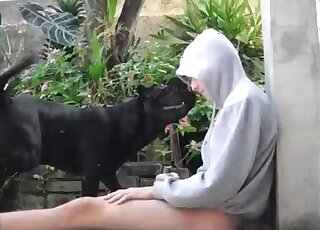 Guy strokes his pet dog and makes her have a rest on his cock