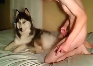 Skinny dude experiences sex with his dog on the bed and enjoys it