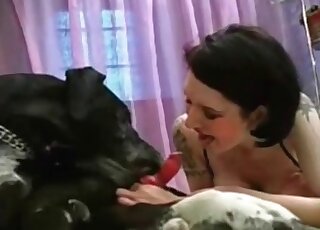 Hot wife gets boobs licked by her dog before enjoying its cock in cunt