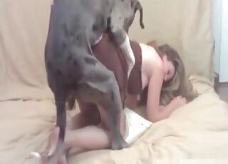 Trained canine rams pussy of a slutty mature and gives a hard fuck