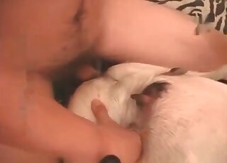Zoophilia obsessed dude gives a terrific fuck to his dog on the bed