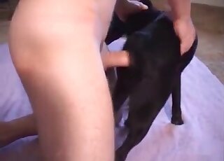 Closeup homemade video of a horny guy enjoying zoo sex with a dog