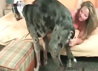 Aged slut in stockings spreads legs to be licked by a big dog