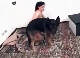 Skinny brunette chick seduces her shepherd dog for sex