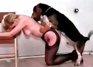 Blonde in stockings bends down do welcome her doggie for fucking action