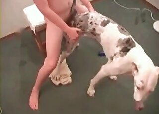 Zoophile dude explores pussy of his dog with fingers and his dong
