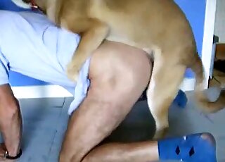 Astonishing doggystyle zoo sex tape with a dog and hairy dude