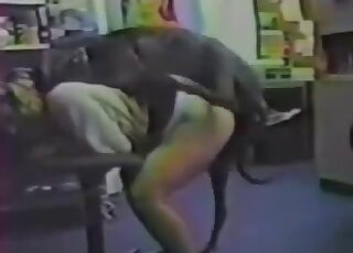 Attractive firm ass zoophile fucks dog in retro sex tape scene