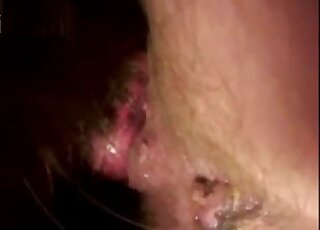 Nice closeup bestiality video focusing on depraved anal fucking