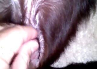 Closeup hole showcase with a sexy dog and a dude that wants sex