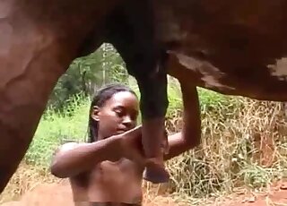Brunette strokes a horse's cock to enjoy a zoophilia cumshot too
