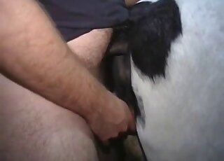 Guy fucks a mare's pussy from behind in an X-rated zoophilia porn vid