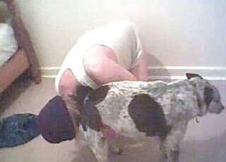 Diligent guy in simplistic get-up fucks a dog with spots on the floor